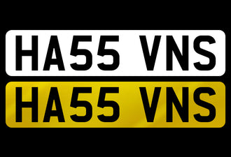 HA55 VNS