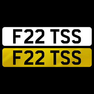 F22 TSS