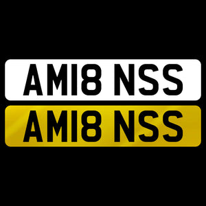 AM18 NSS