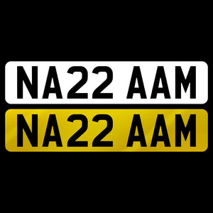 NA22 AAM