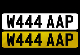 W444 AAP