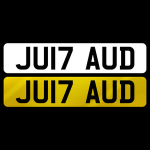 JU17 AUD