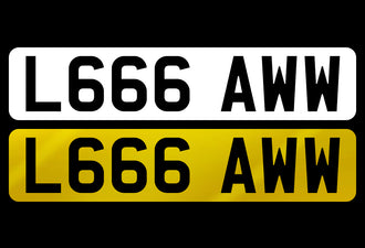 L666 AWW