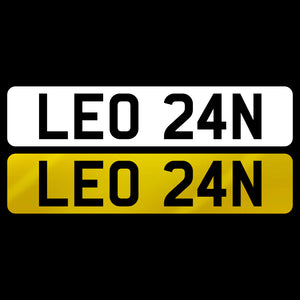 LEO 24N