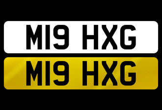 M19 HXG
