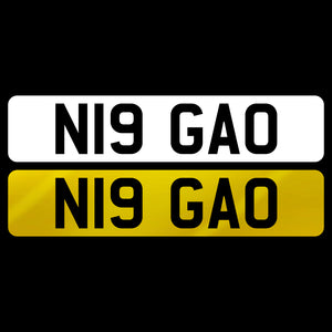 N19 GAO