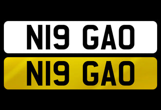 N19 GAO