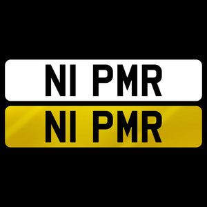 N1 PMR