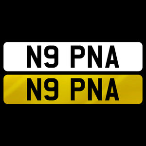 N9 PNA
