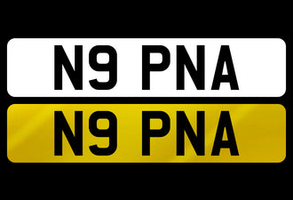 N9 PNA