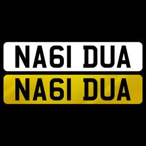 NA61 DUA