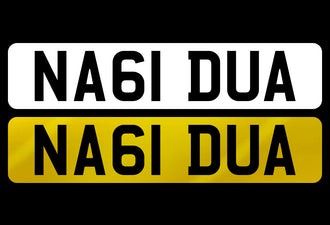 NA61 DUA