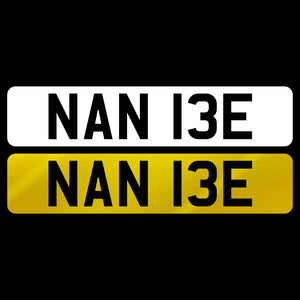 NAN 13E