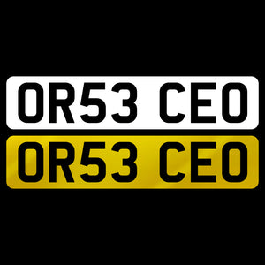 OR53 CEO