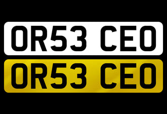 OR53 CEO