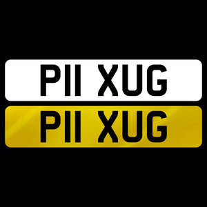 P11 XUG