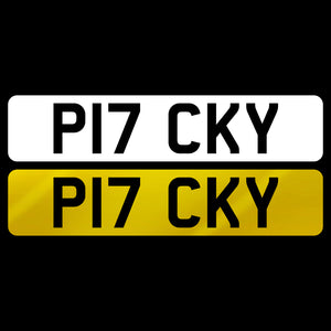 P17 CKY