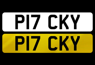 P17 CKY