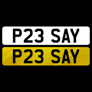 P23 SAY
