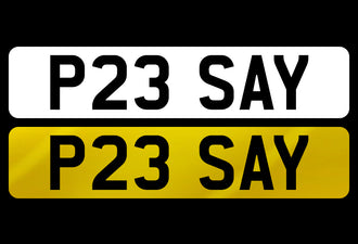 P23 SAY