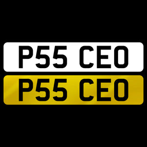 P55 CEO