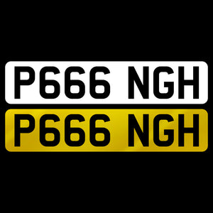 P666 NGH