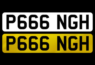 P666 NGH