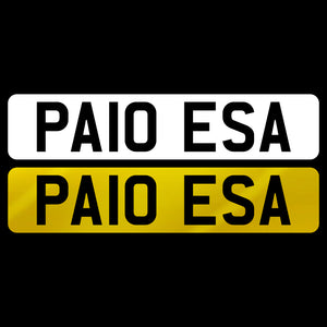 PA10 ESA