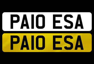 PA10 ESA