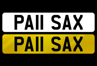 PA11 SAX