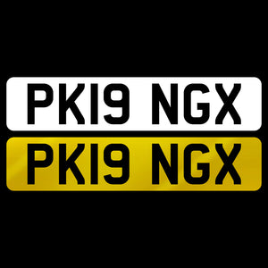 PK19 NGX