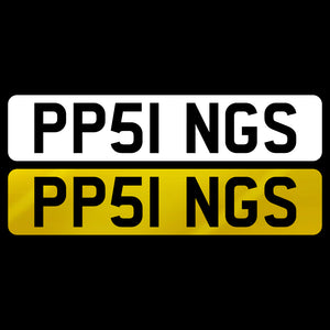 PP51 NGS