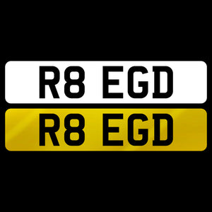 R8 EGD