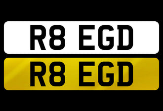 R8 EGD