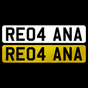 RE04 ANA