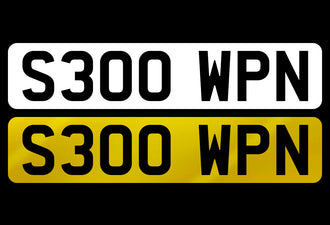 S300 WPN