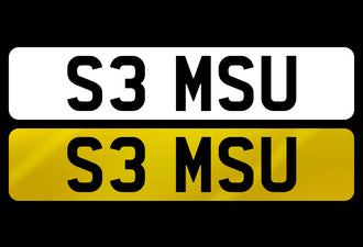S3 MSU