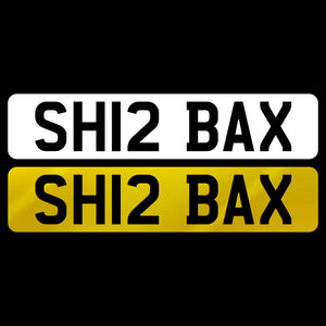 SH12 BAX