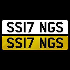 SS17 NGS