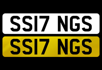 SS17 NGS