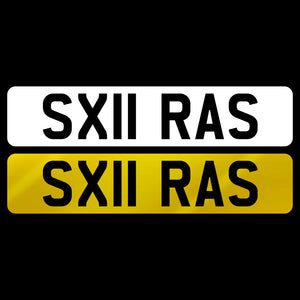 SX11 RAS