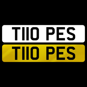 T110 PES