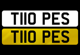 T110 PES