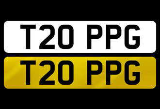 T20 PPG