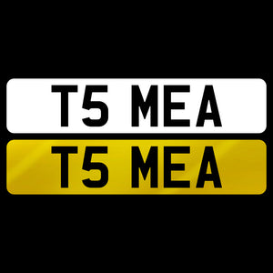 T5 MEA