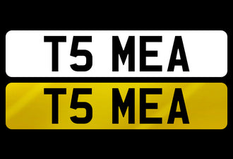 T5 MEA