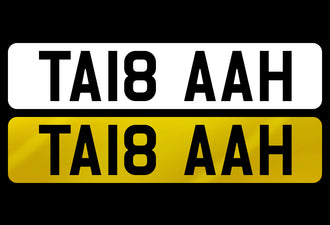 TA18 AAH
