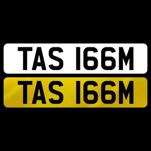 TAS 166M