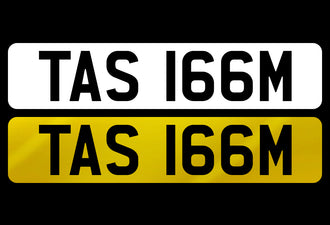 TAS 166M