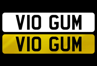 V10 GUM